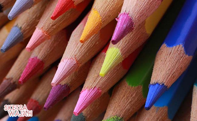 Pensil warna untuk memperindah sketsa